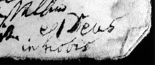 Autograph Est
